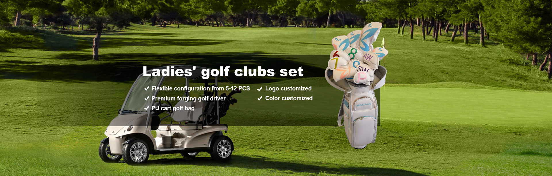 Conjunto de tacos de golfe femininos da China