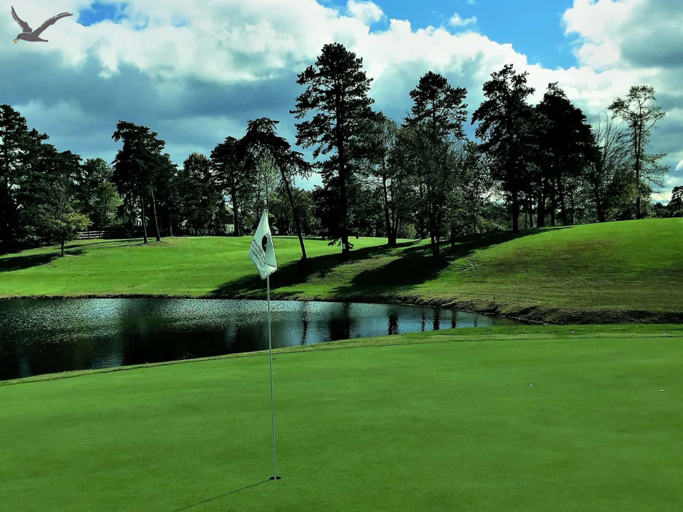 The Albatross Sports: 10 fatos rápidos para Kown Golf (Parte 1)